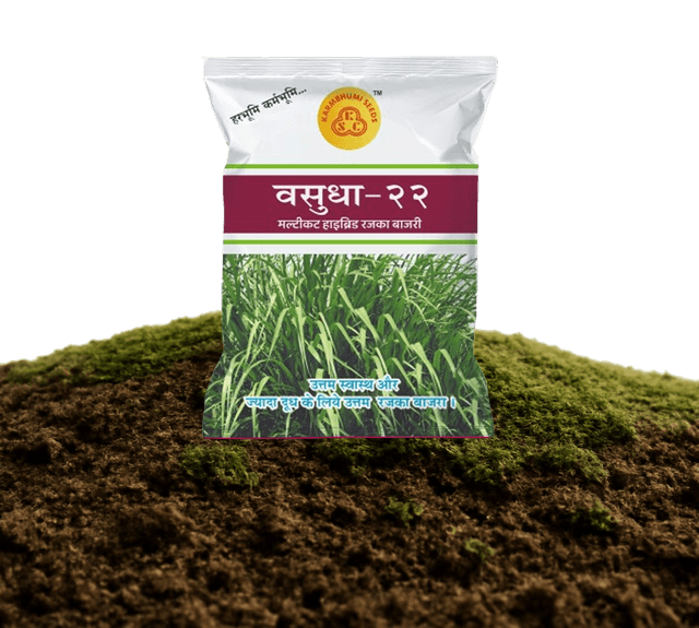 Vasudha-22 Multicut Hybrid Bajra