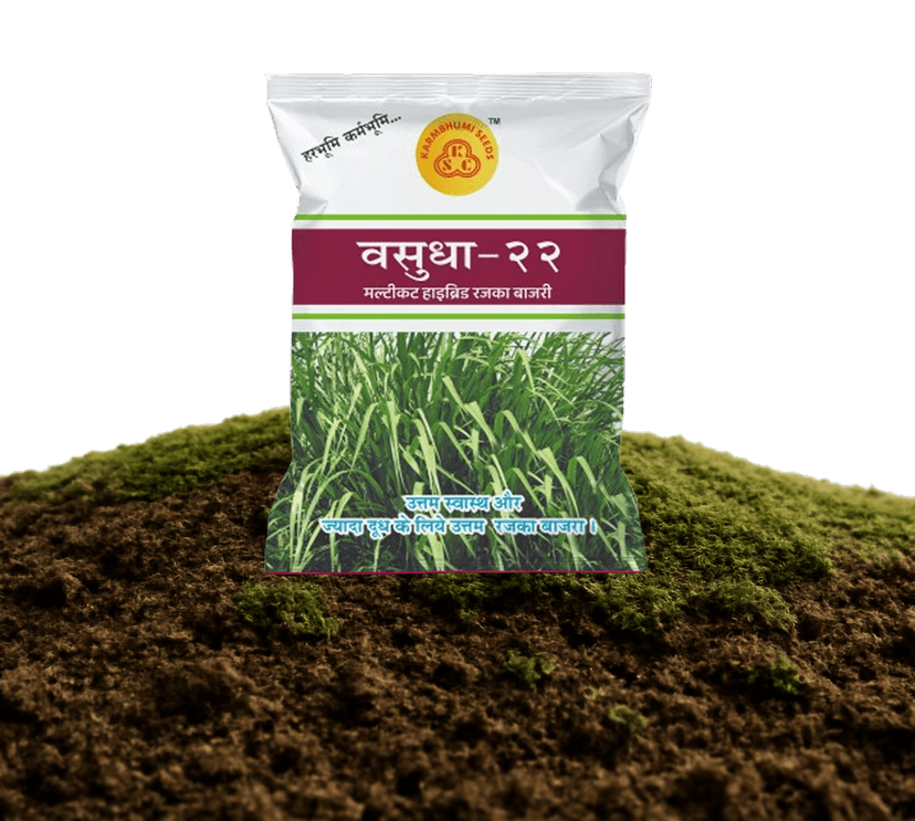 Vasudha-22 Multicut Hybrid Bajra