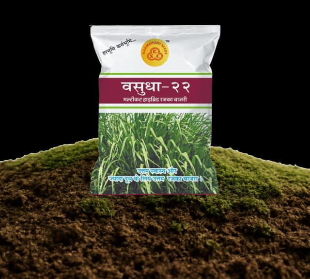 Vasudha-22 Multicut Hybrid Bajra